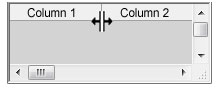 resizing_columns.png